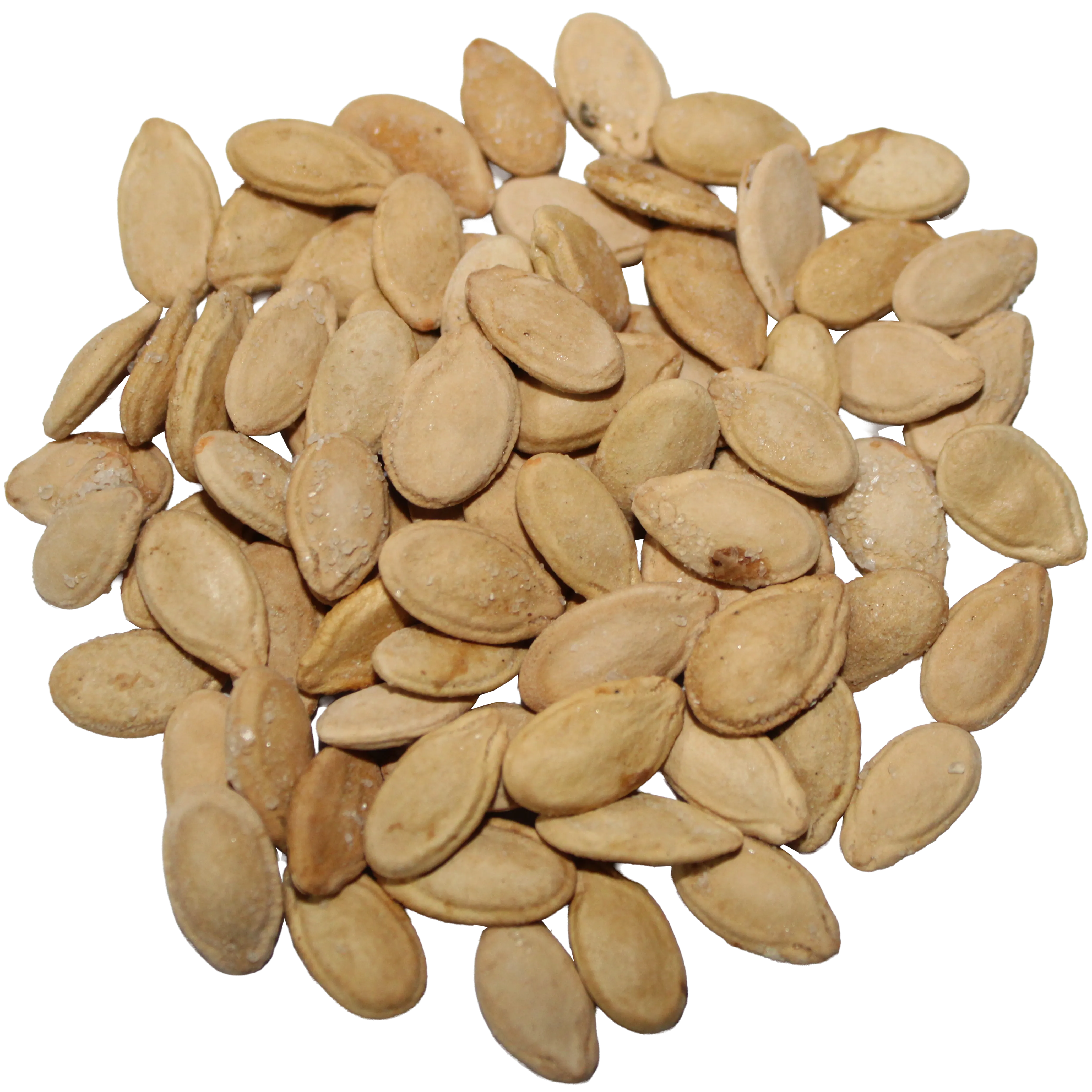 Salted Egyptian Seeds Extra